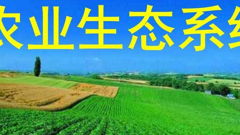 种植技术书籍：批发渠道与选书指南