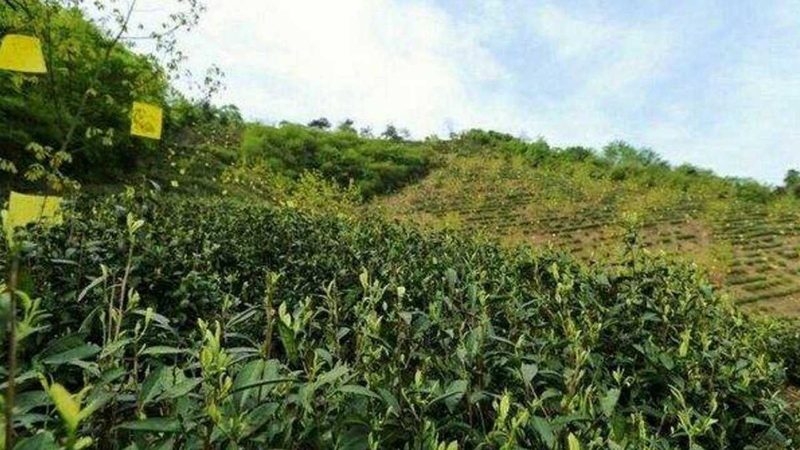 生鲜配送资质办理流程全解析