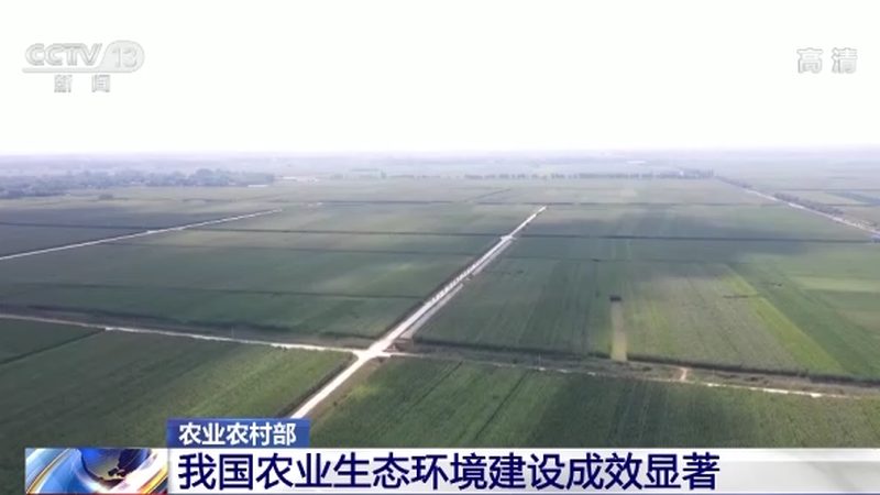 上海家庭农场经营模式解析：因地制宜，高效可持续