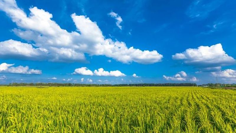 休闲农业节庆活动价格
