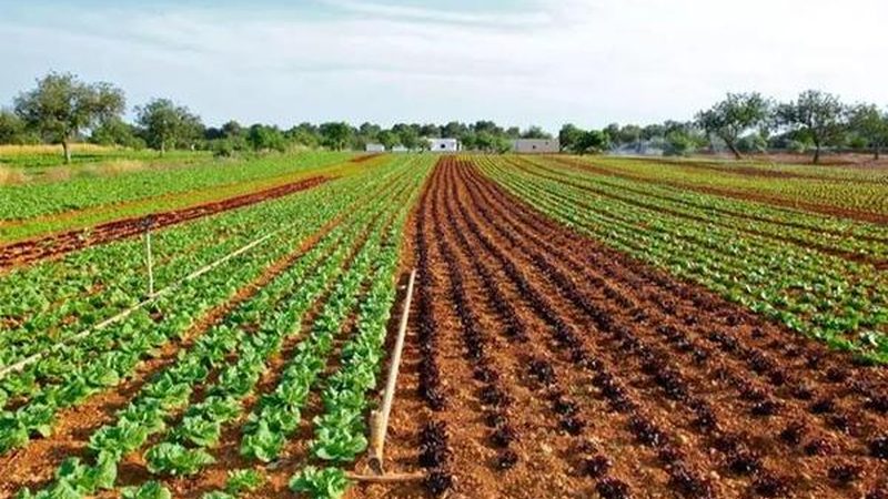 企业食堂选供应商，资质审查最容易漏掉哪一环