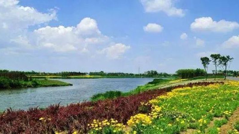 家庭农场大棚加盟代理：揭秘加盟背后的生态农业之道**