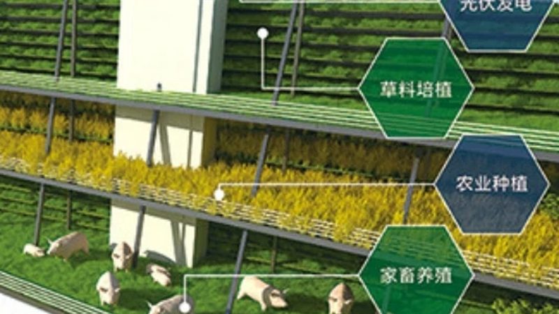规模化种植定制方案