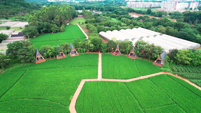 家庭农场补贴哪家强？揭秘补贴政策背后的真相