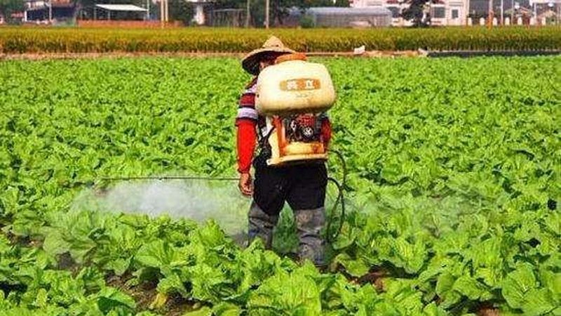 合作社品牌注册哪家服务好