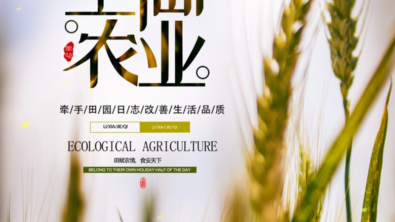 餐饮配送农产品费用：如何合理控制成本**